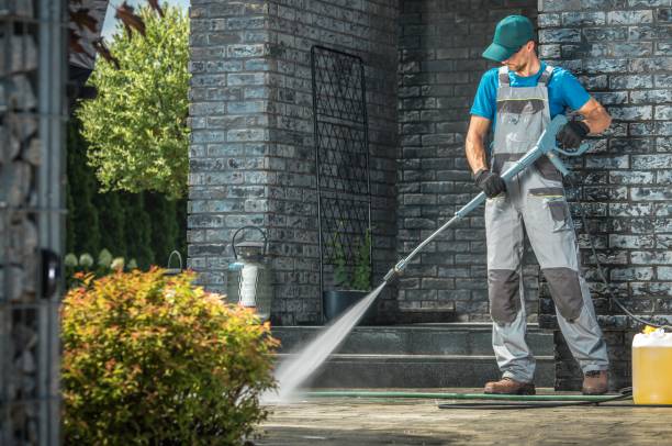 Best Fence Cleaning  in Lasalle, IL